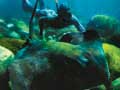 Scuba Diving
