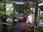 BBQ Area